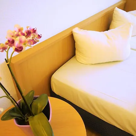 Апартаменты Boardinghaus Haehn Кобленц